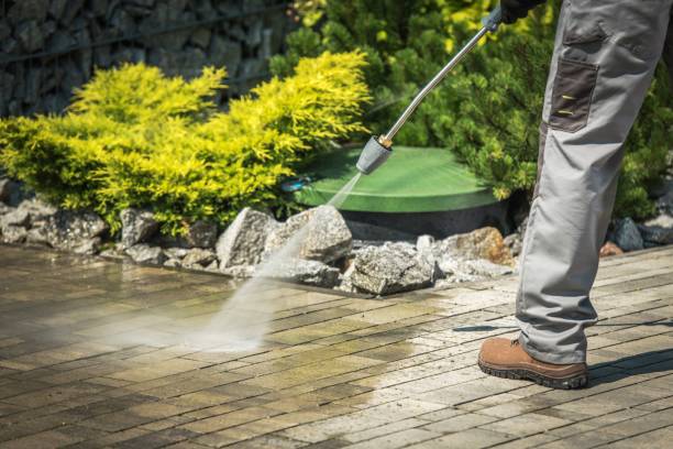 Animal Enclosure Cleaning in Pendergrass, GA