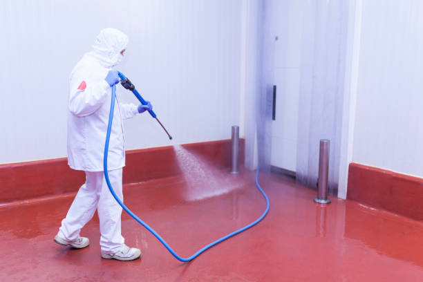Spring Cleaning in Pendergrass, GA